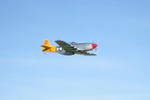 Brian Young P-51-2