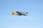 Brian_Young_P-51-2
